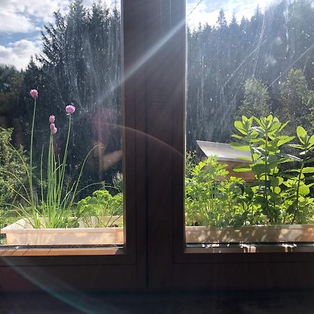 A L'Oree De Soi - Maison Forestiere De La Soie - Eco Gite, Chambres D'Hotes, Camping Au Pied Des Vosges Saint-Sauveur  외부 사진