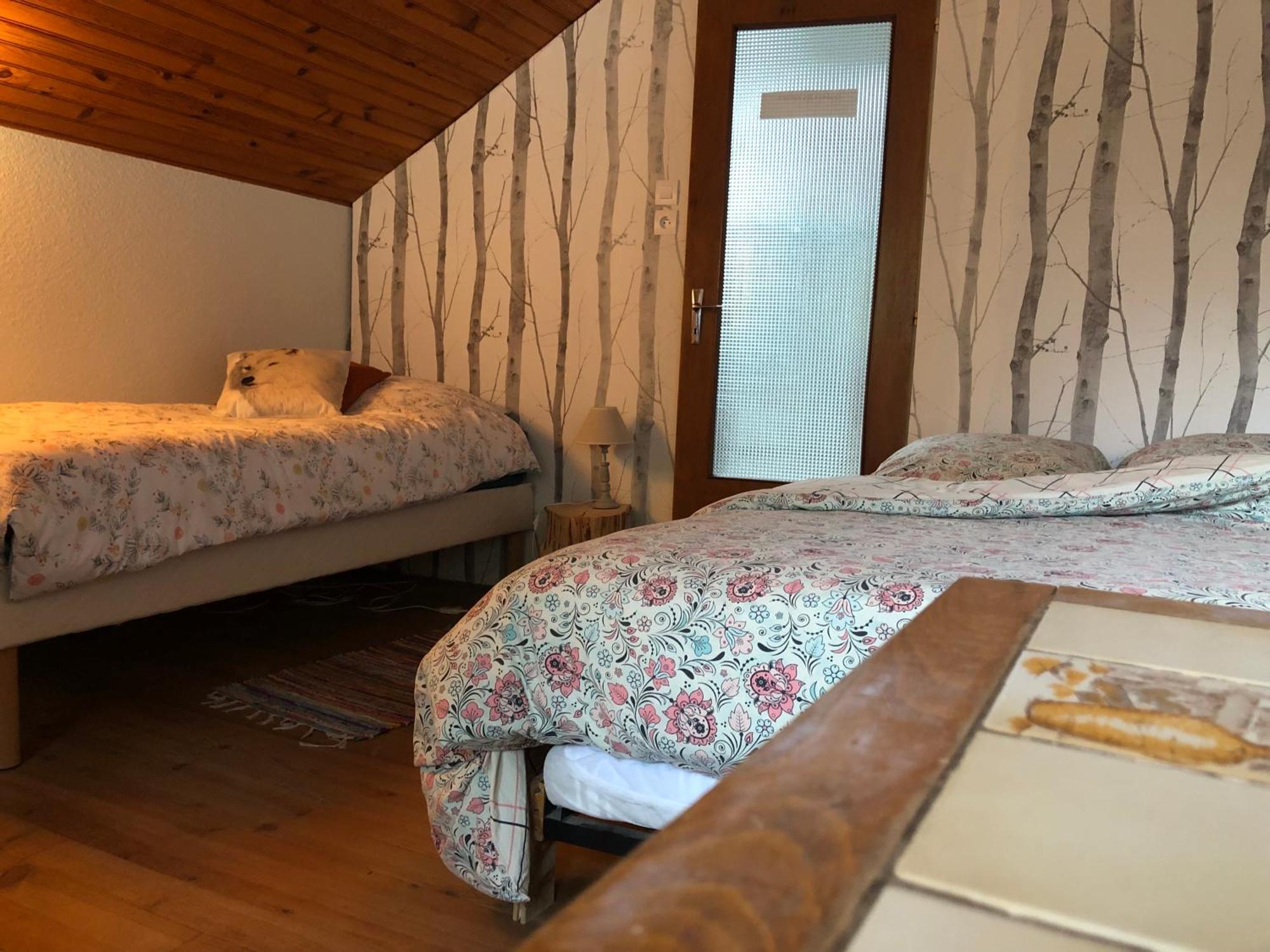 A L'Oree De Soi - Maison Forestiere De La Soie - Eco Gite, Chambres D'Hotes, Camping Au Pied Des Vosges Saint-Sauveur  외부 사진