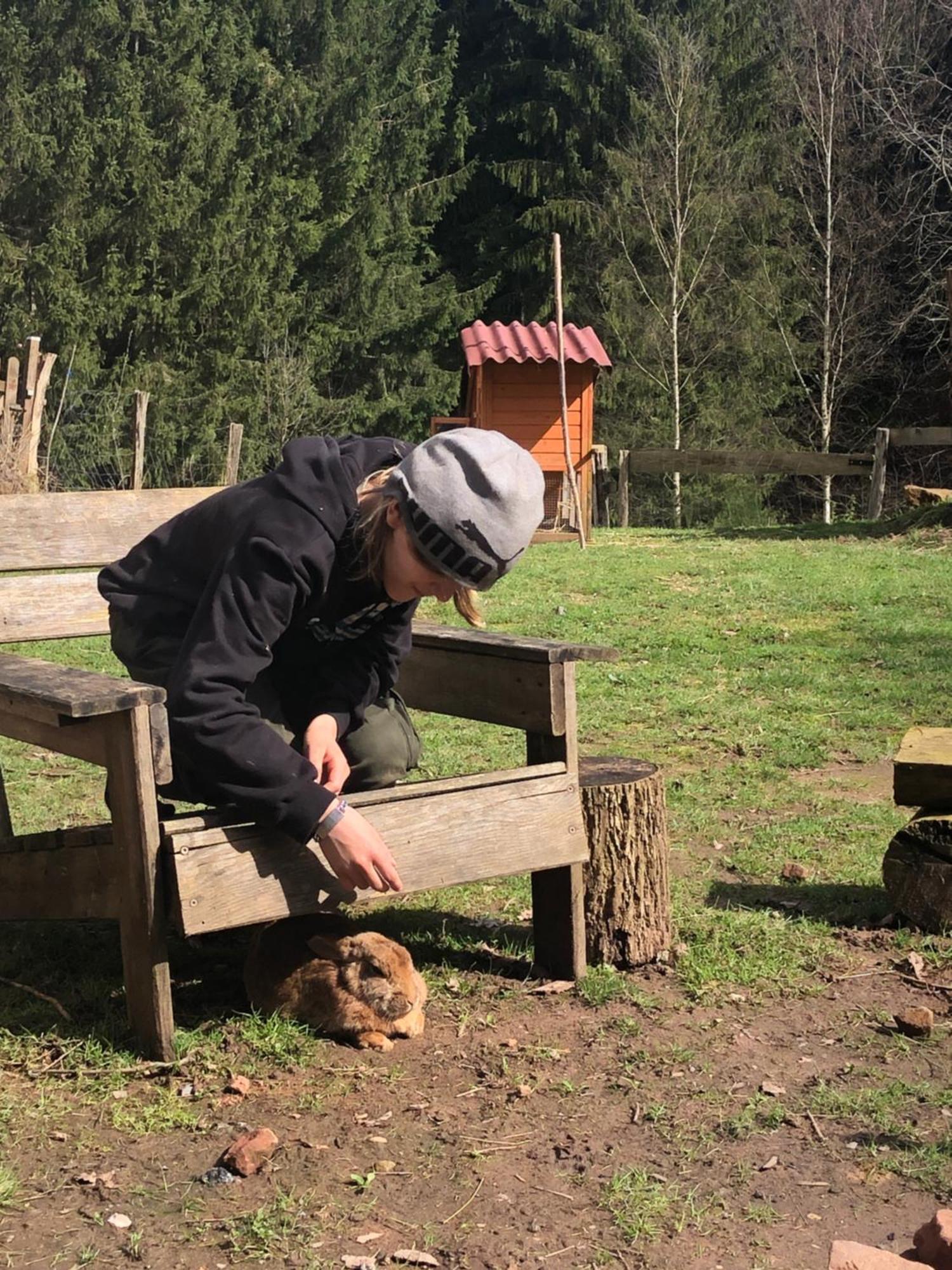 A L'Oree De Soi - Maison Forestiere De La Soie - Eco Gite, Chambres D'Hotes, Camping Au Pied Des Vosges Saint-Sauveur  외부 사진