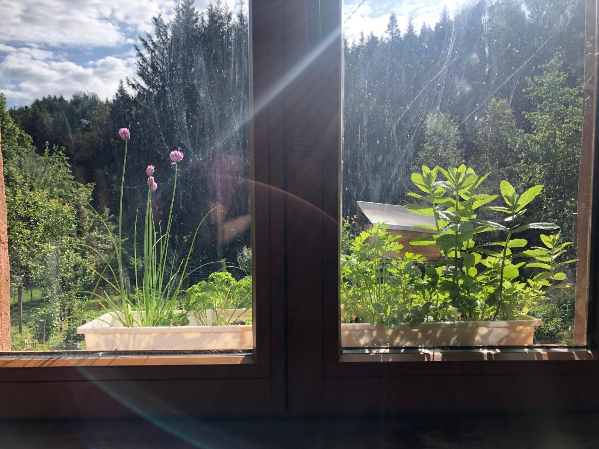 A L'Oree De Soi - Maison Forestiere De La Soie - Eco Gite, Chambres D'Hotes, Camping Au Pied Des Vosges Saint-Sauveur  외부 사진