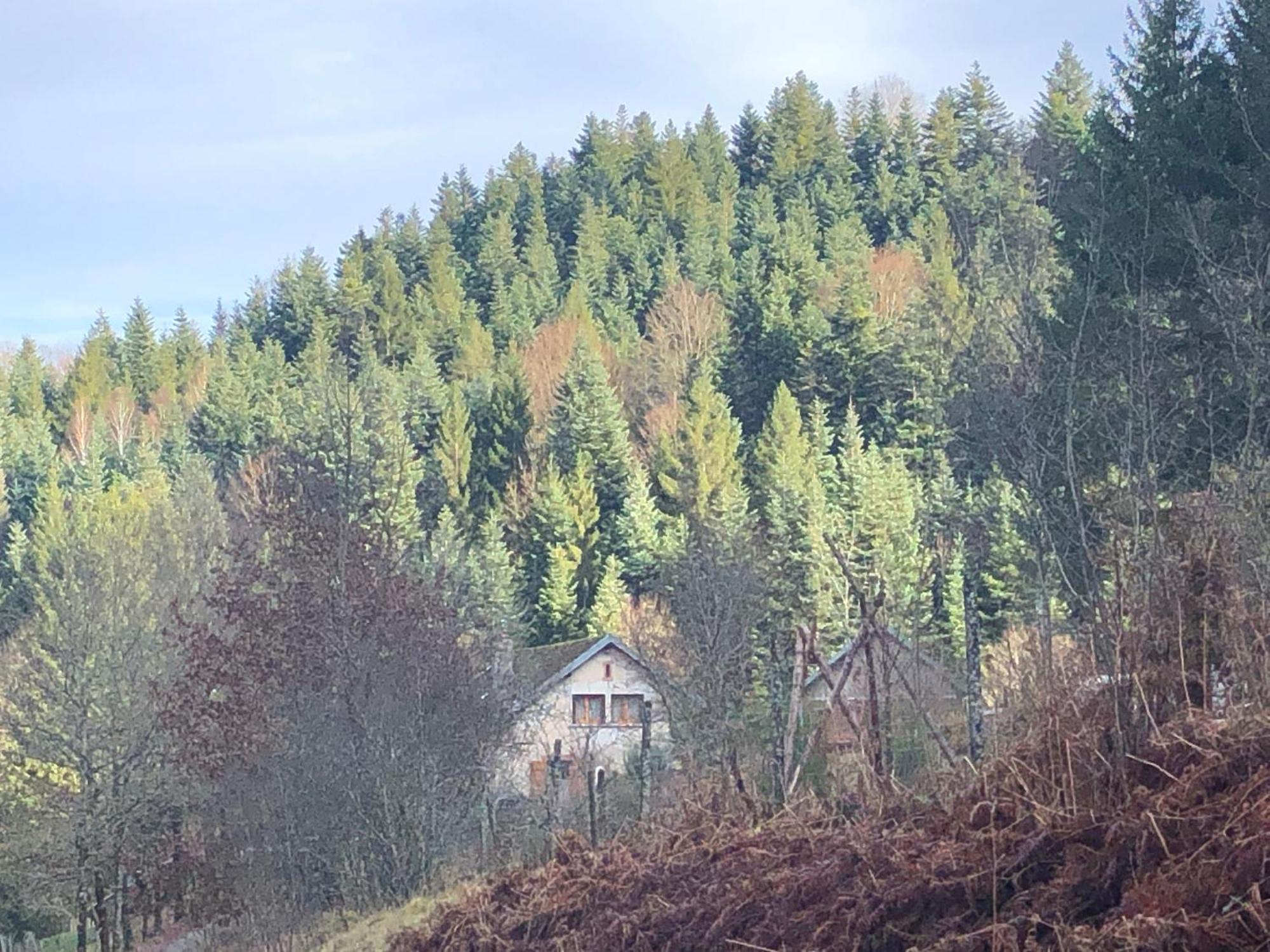 A L'Oree De Soi - Maison Forestiere De La Soie - Eco Gite, Chambres D'Hotes, Camping Au Pied Des Vosges Saint-Sauveur  외부 사진