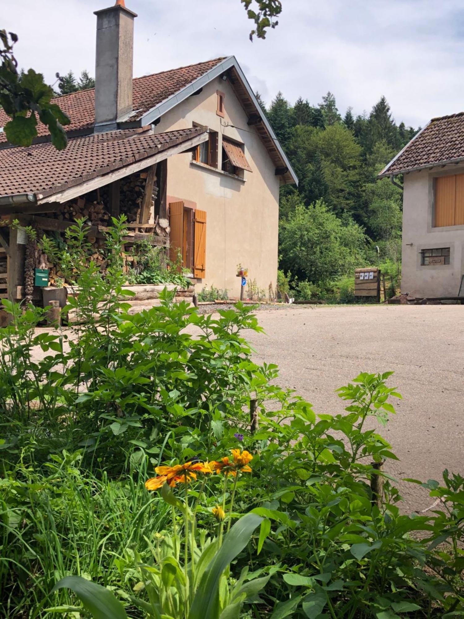 A L'Oree De Soi - Maison Forestiere De La Soie - Eco Gite, Chambres D'Hotes, Camping Au Pied Des Vosges Saint-Sauveur  외부 사진