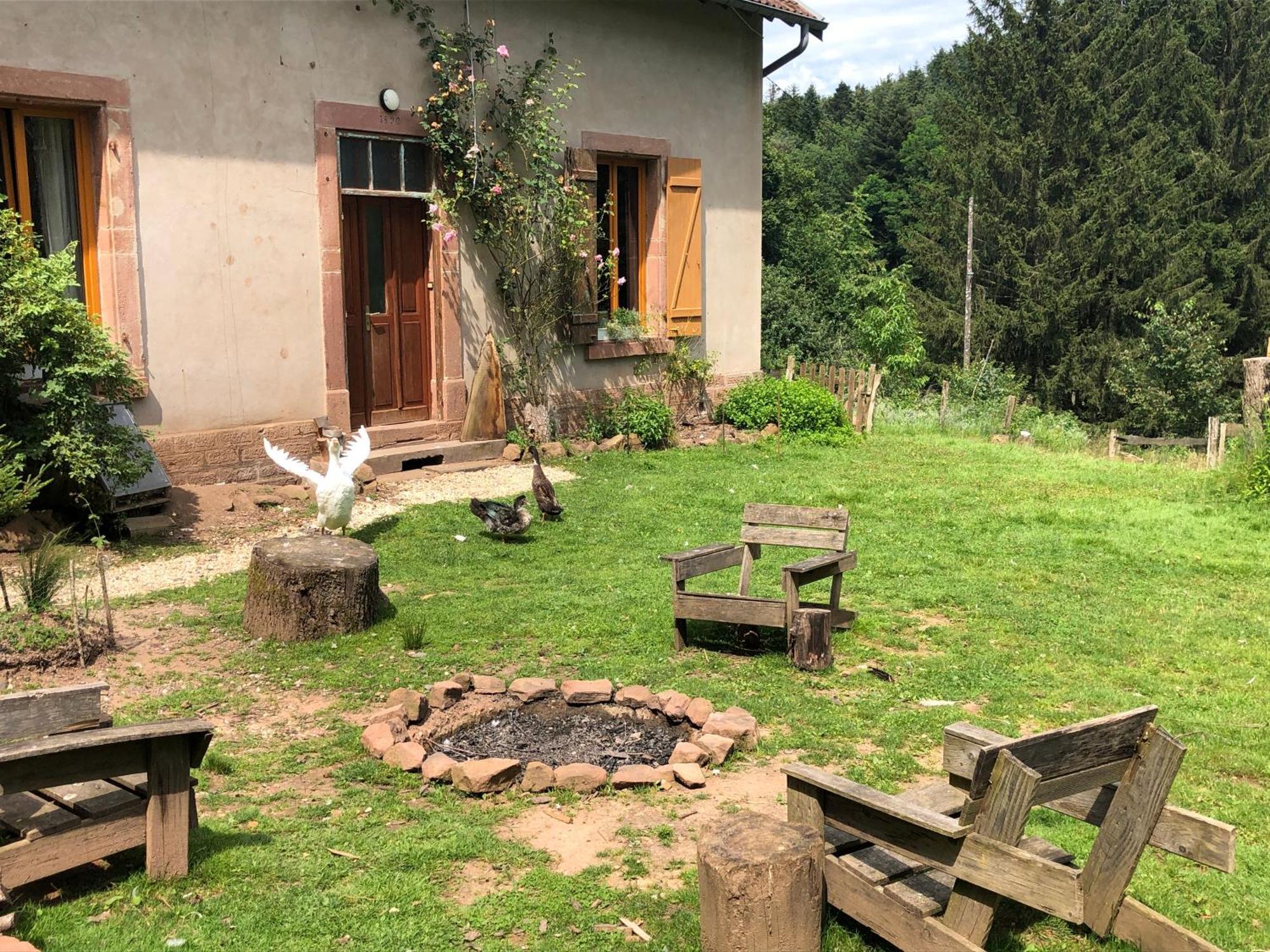 A L'Oree De Soi - Maison Forestiere De La Soie - Eco Gite, Chambres D'Hotes, Camping Au Pied Des Vosges Saint-Sauveur  외부 사진