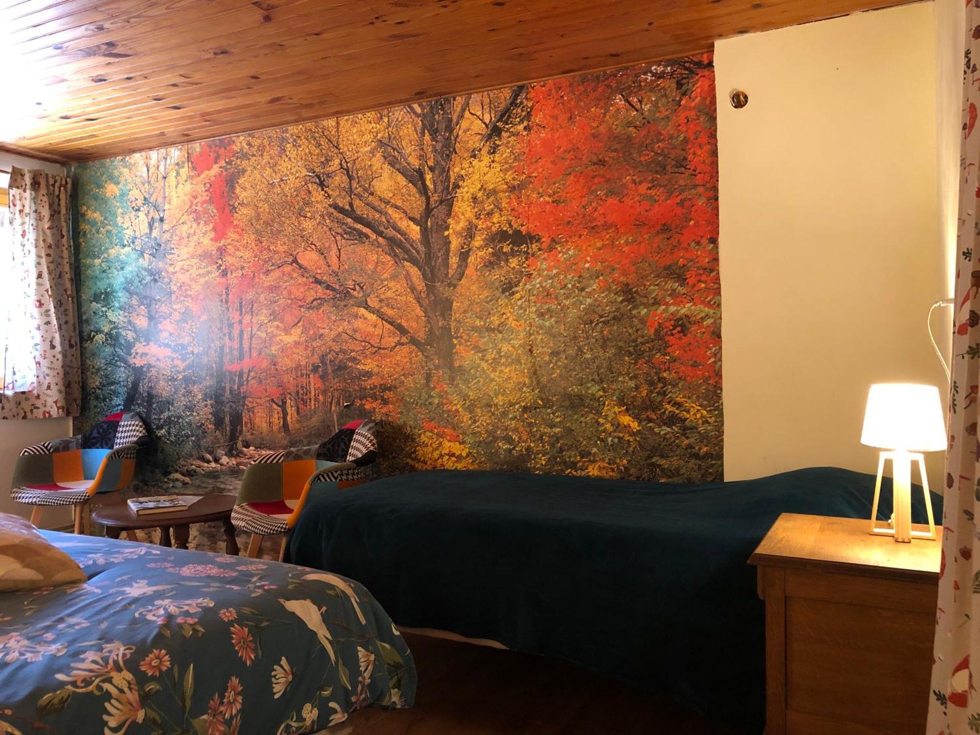 A L'Oree De Soi - Maison Forestiere De La Soie - Eco Gite, Chambres D'Hotes, Camping Au Pied Des Vosges Saint-Sauveur  외부 사진
