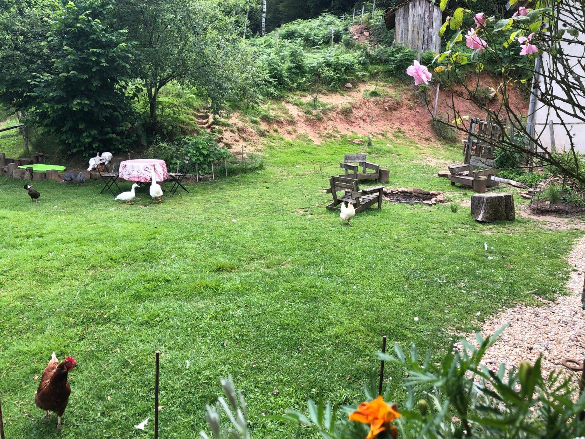 A L'Oree De Soi - Maison Forestiere De La Soie - Eco Gite, Chambres D'Hotes, Camping Au Pied Des Vosges Saint-Sauveur  외부 사진